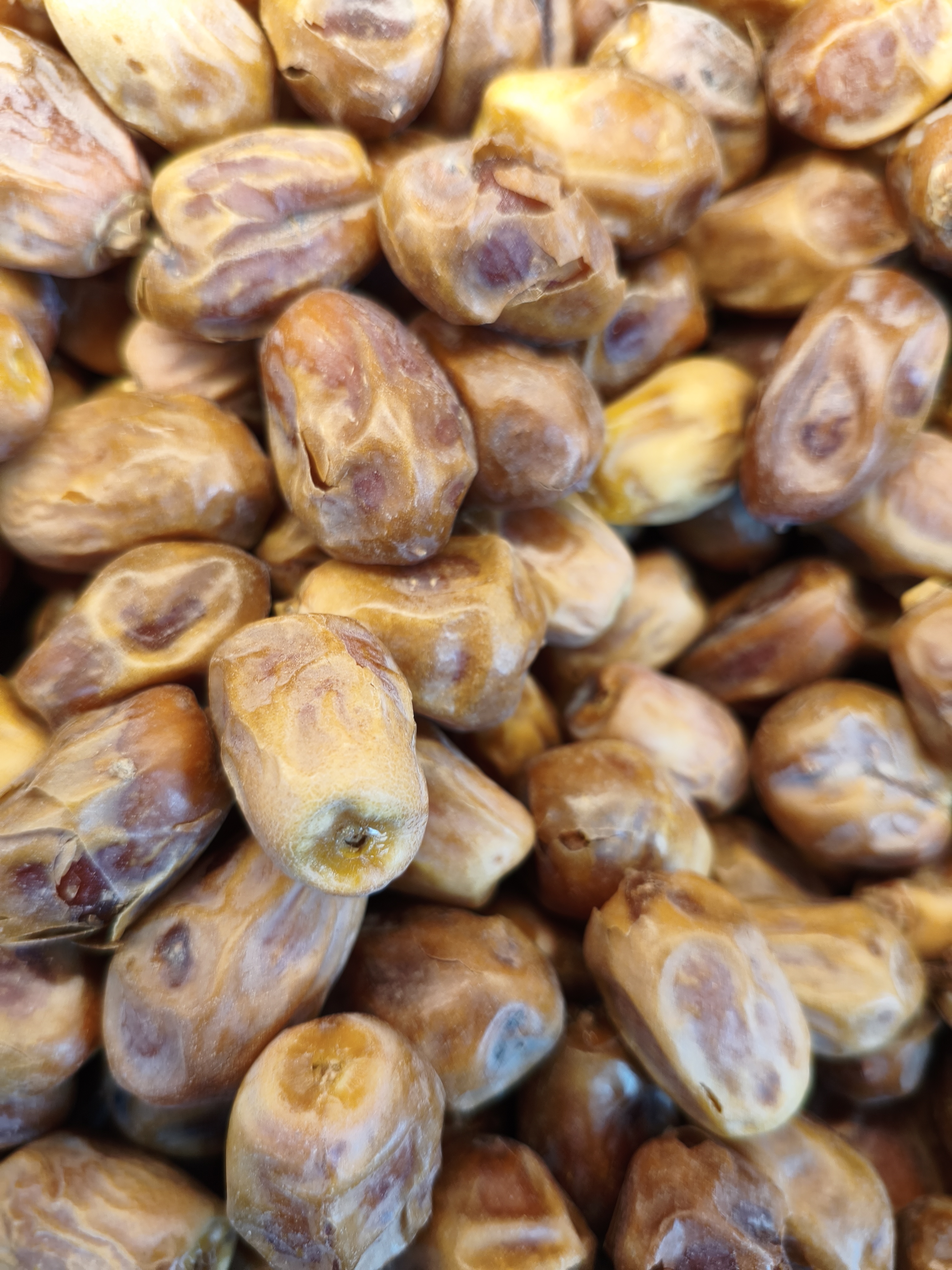 خرید خرمای زاهدی