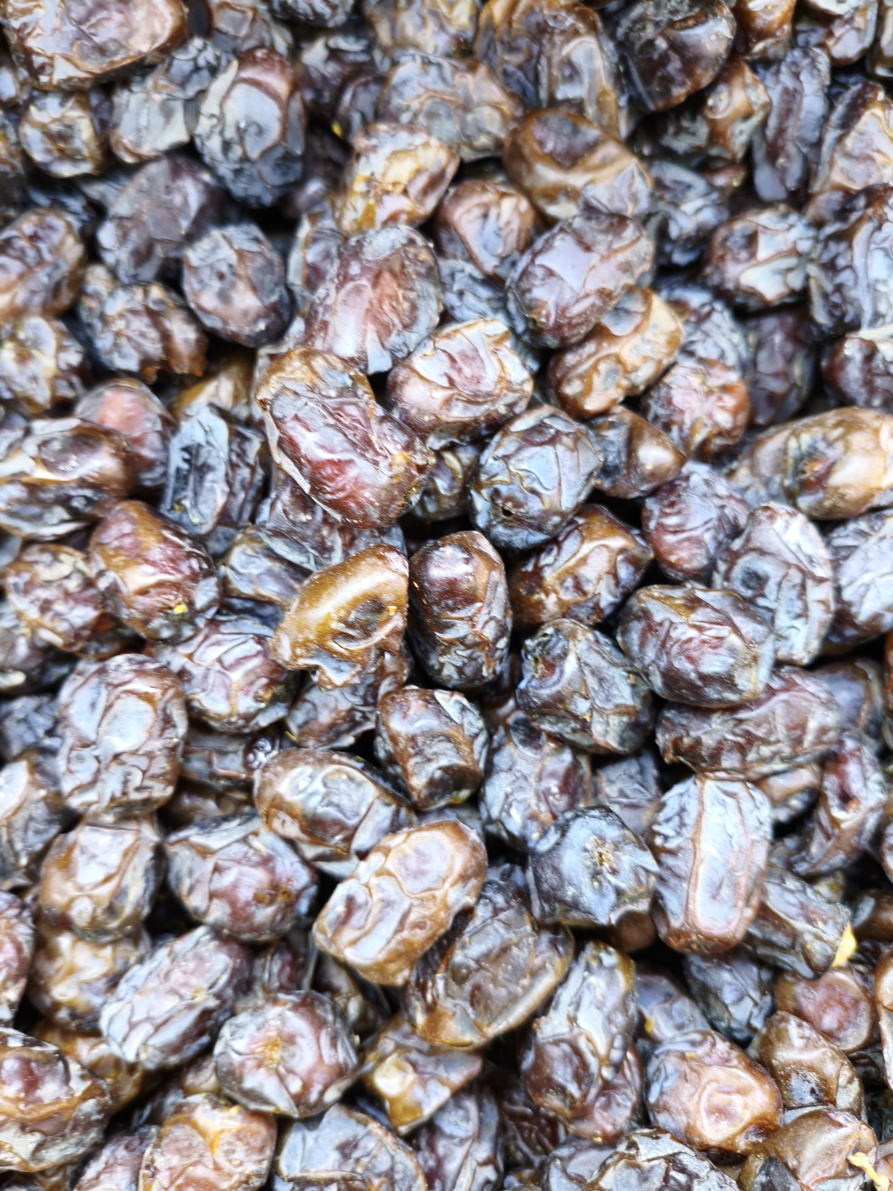 خرمای عجوه درجه 1