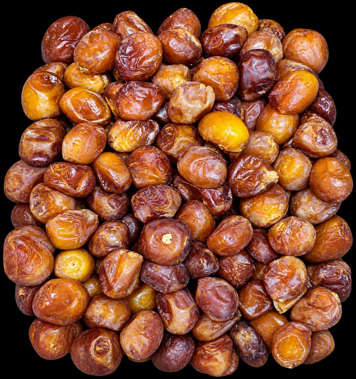 رطب برحی کامل
