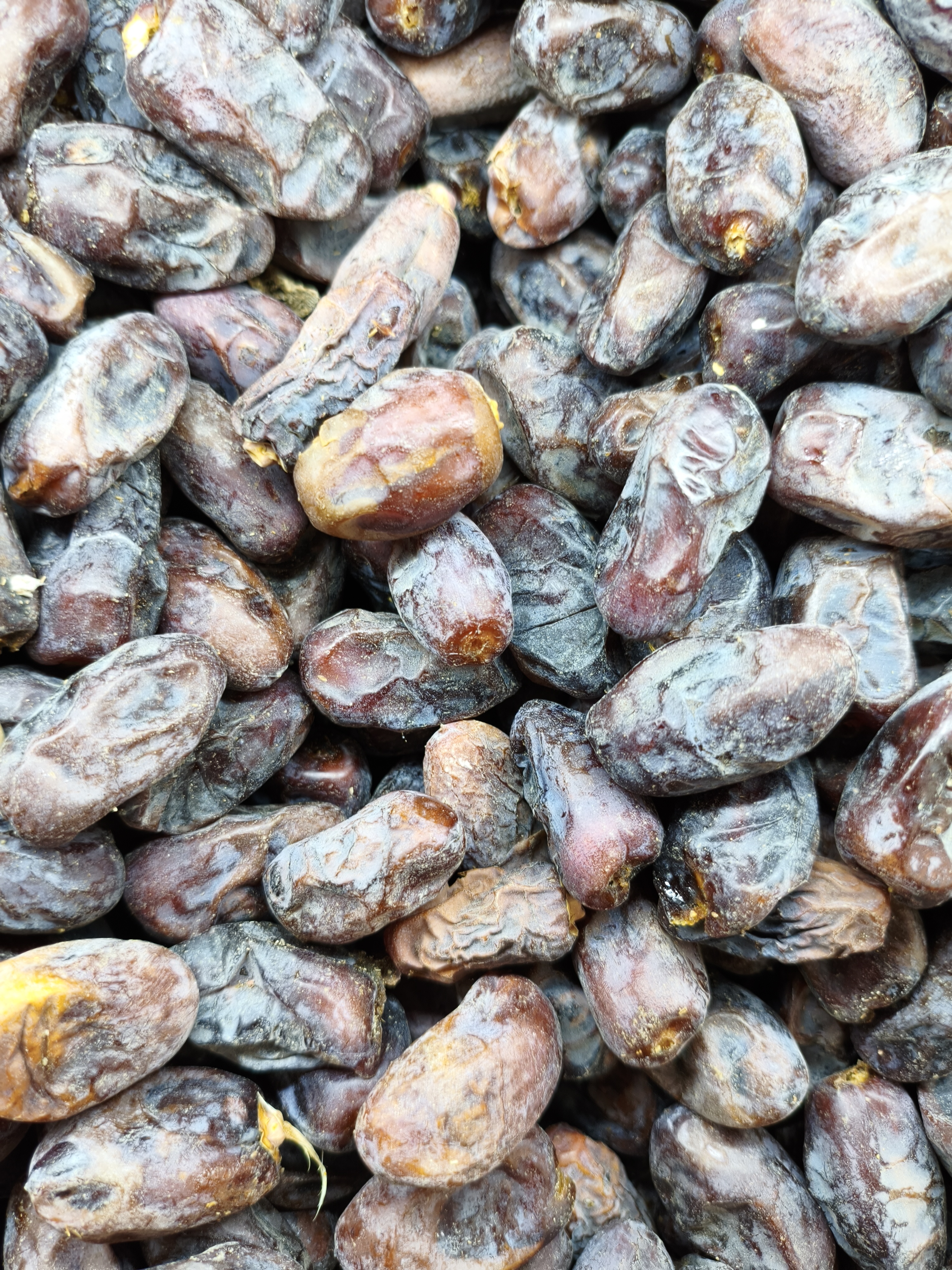 خرمای فرسی