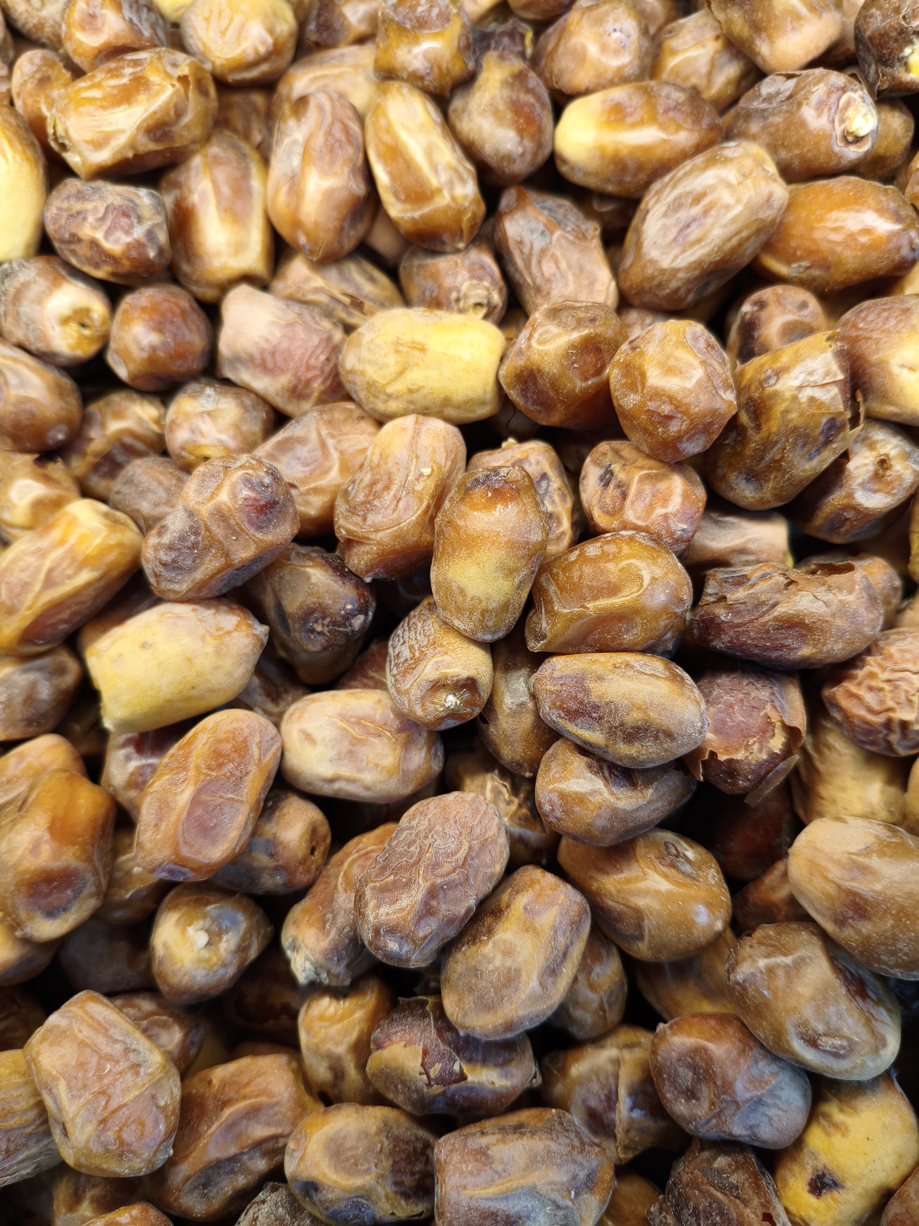 خرمای زاهدی
